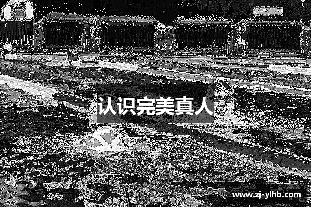 认识完美真人